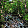 Jones Gap State Park South Carolina